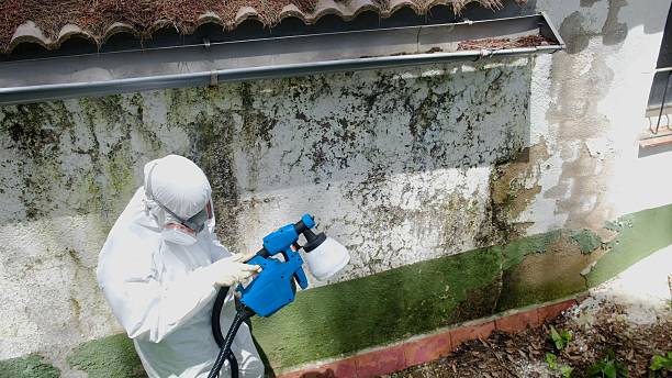 Trusted Mold Testing service in Blain, PA - Cheap Mold Removal